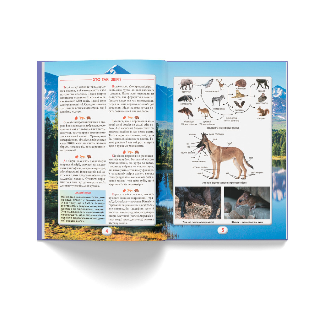 Ви маєте це знати. Світ звірів