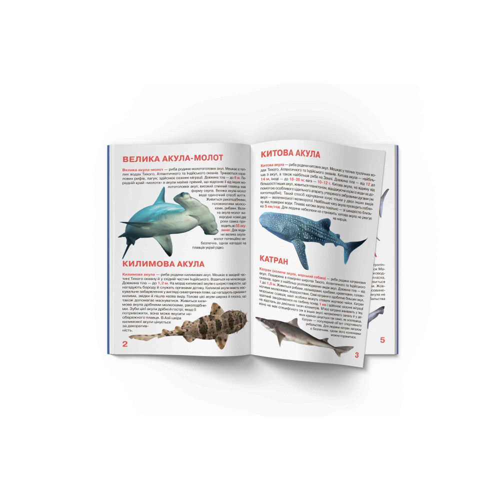 Велика книжка. Акули