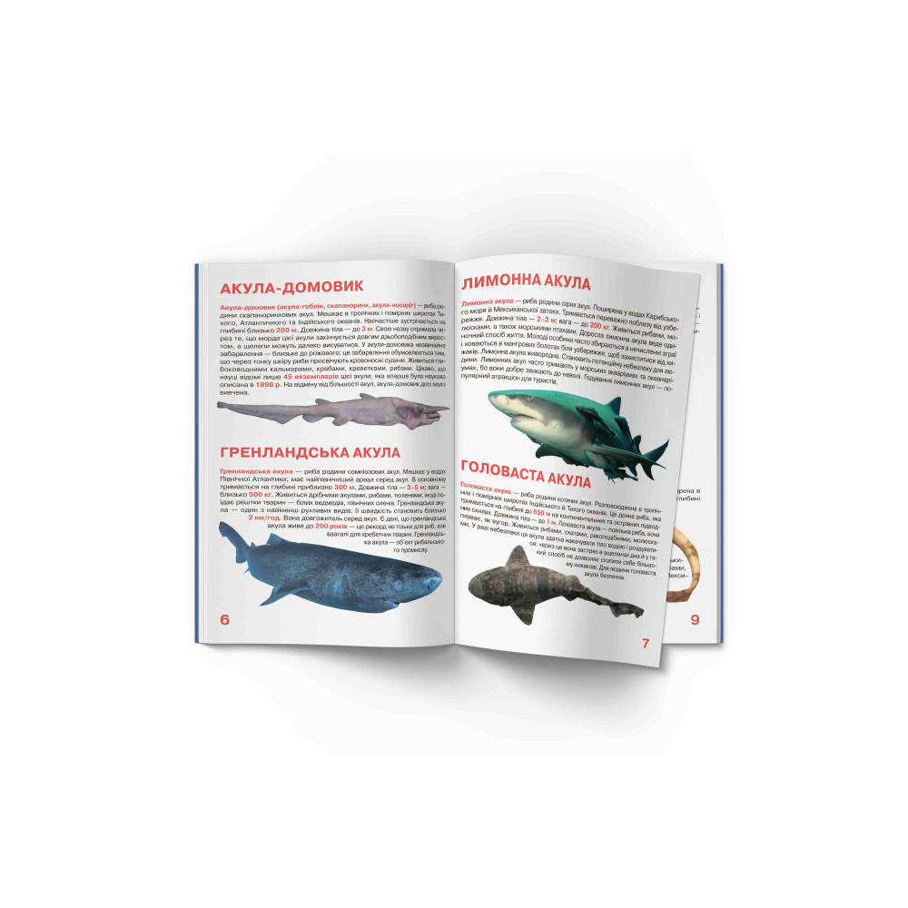 Велика книжка. Акули