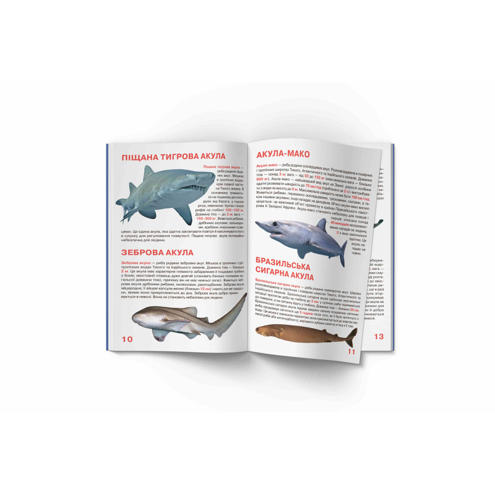 Велика книжка. Акули