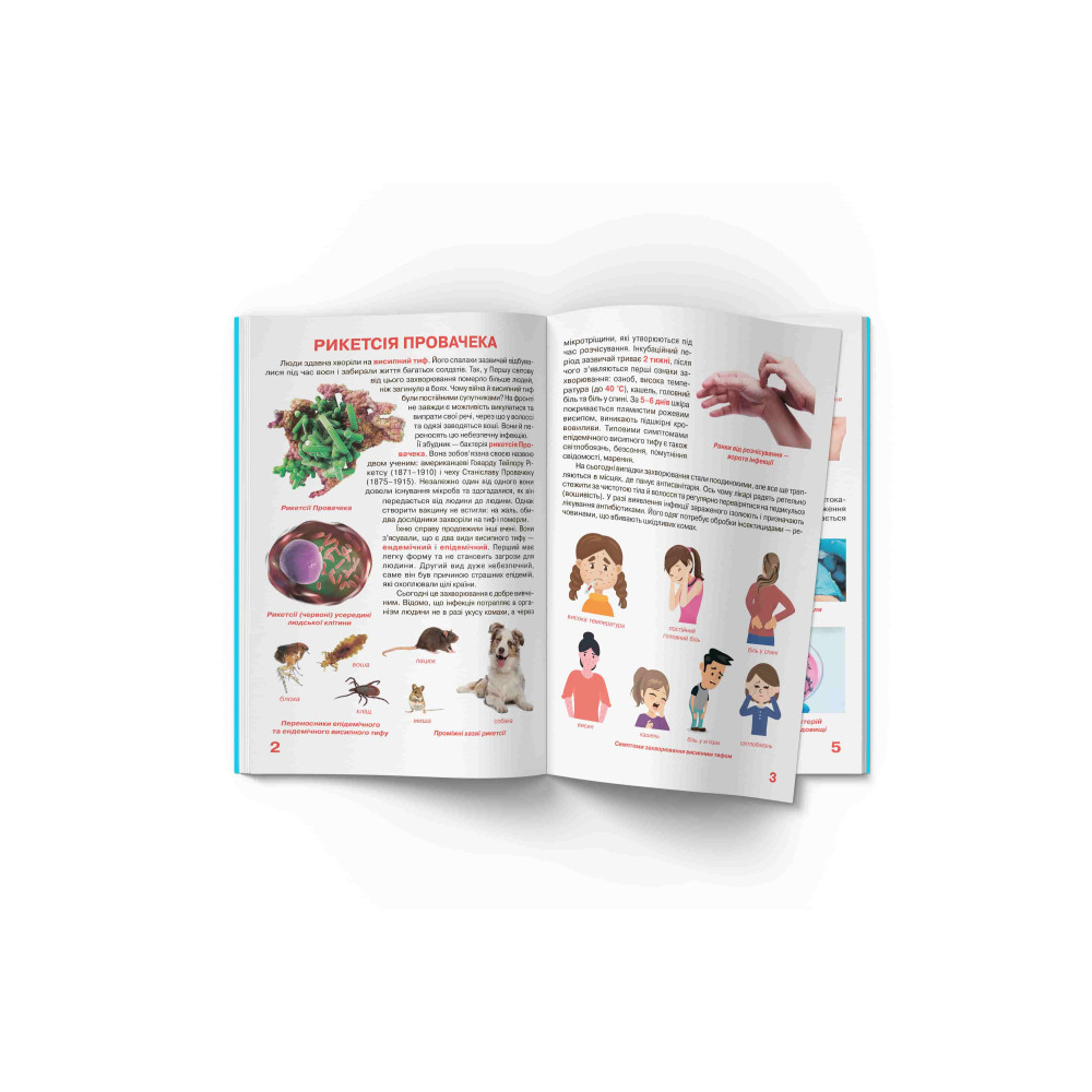 Велика книжка. Бактерії