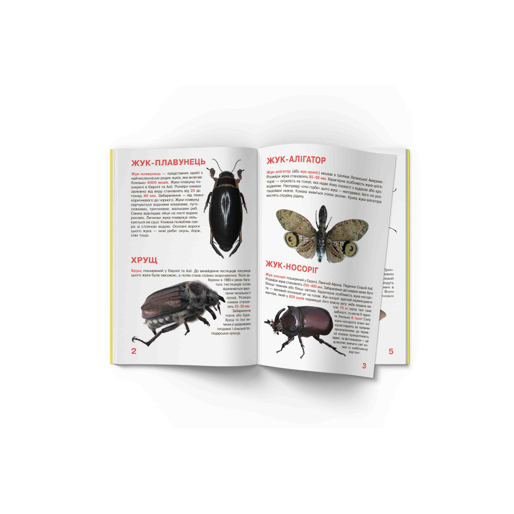 Велика книжка. Жуки