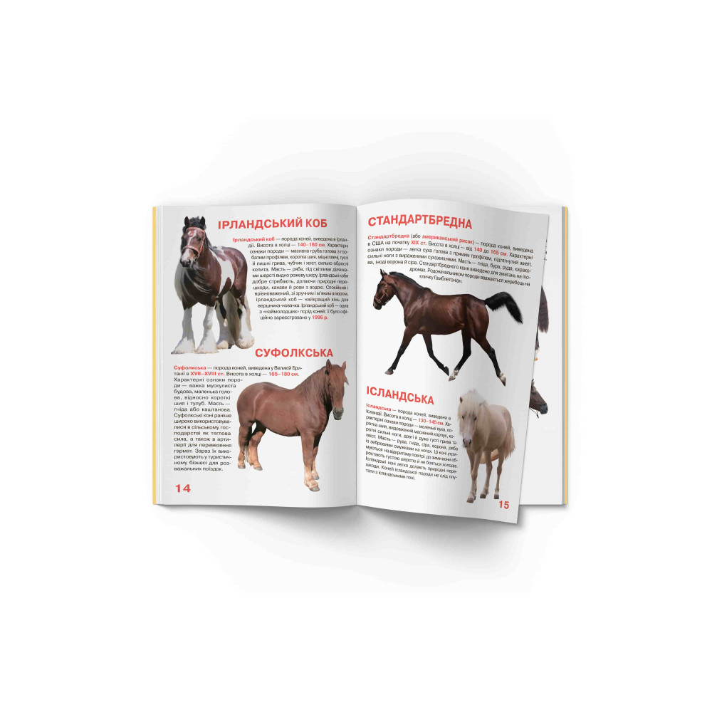 Велика книжка. Коні і поні