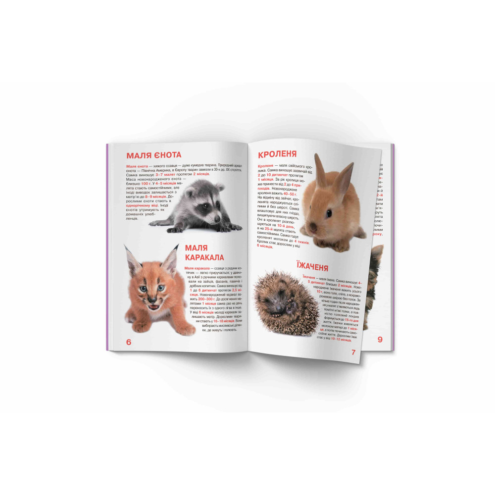 Велика книжка. Малята тварин