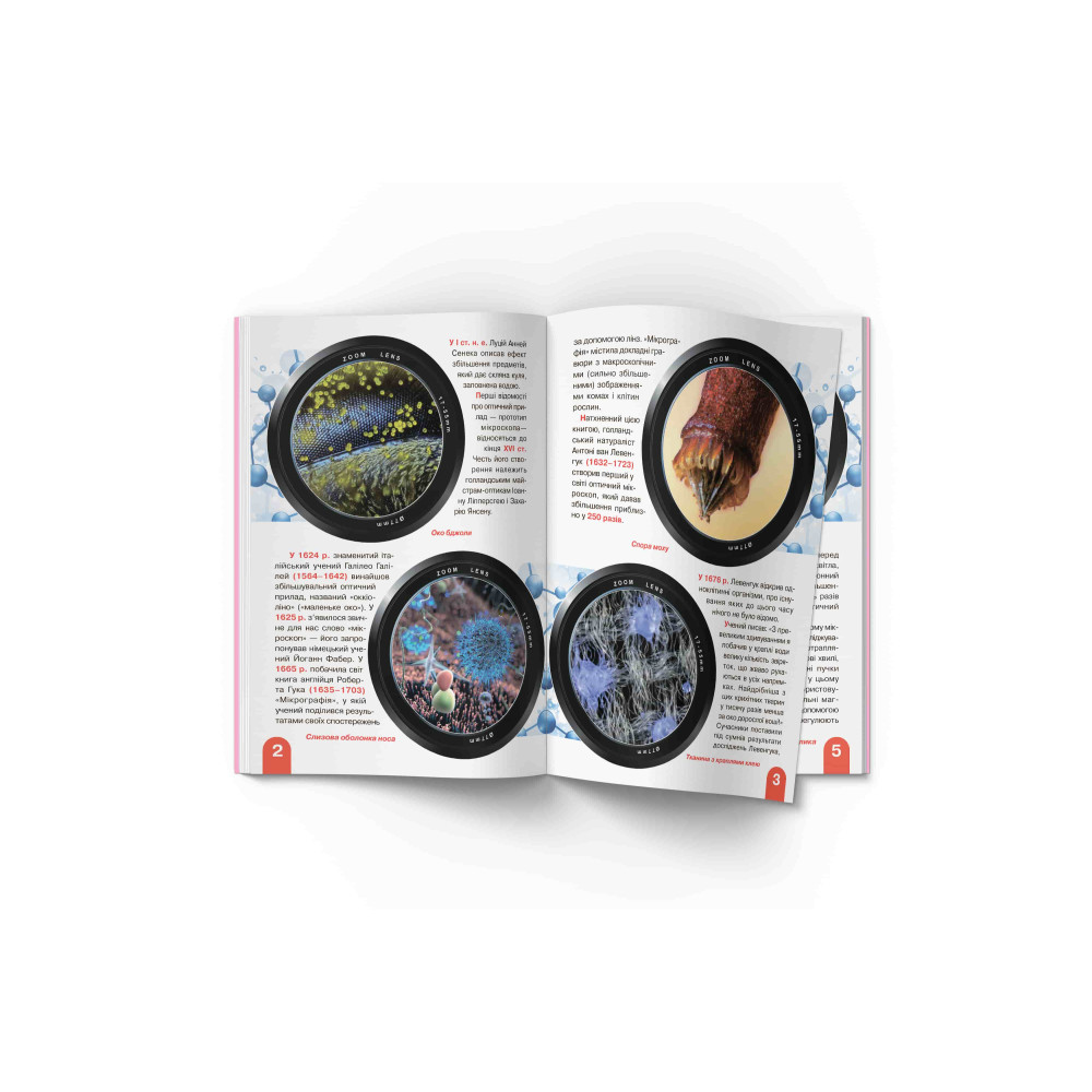 Велика книжка. Мікросвіт