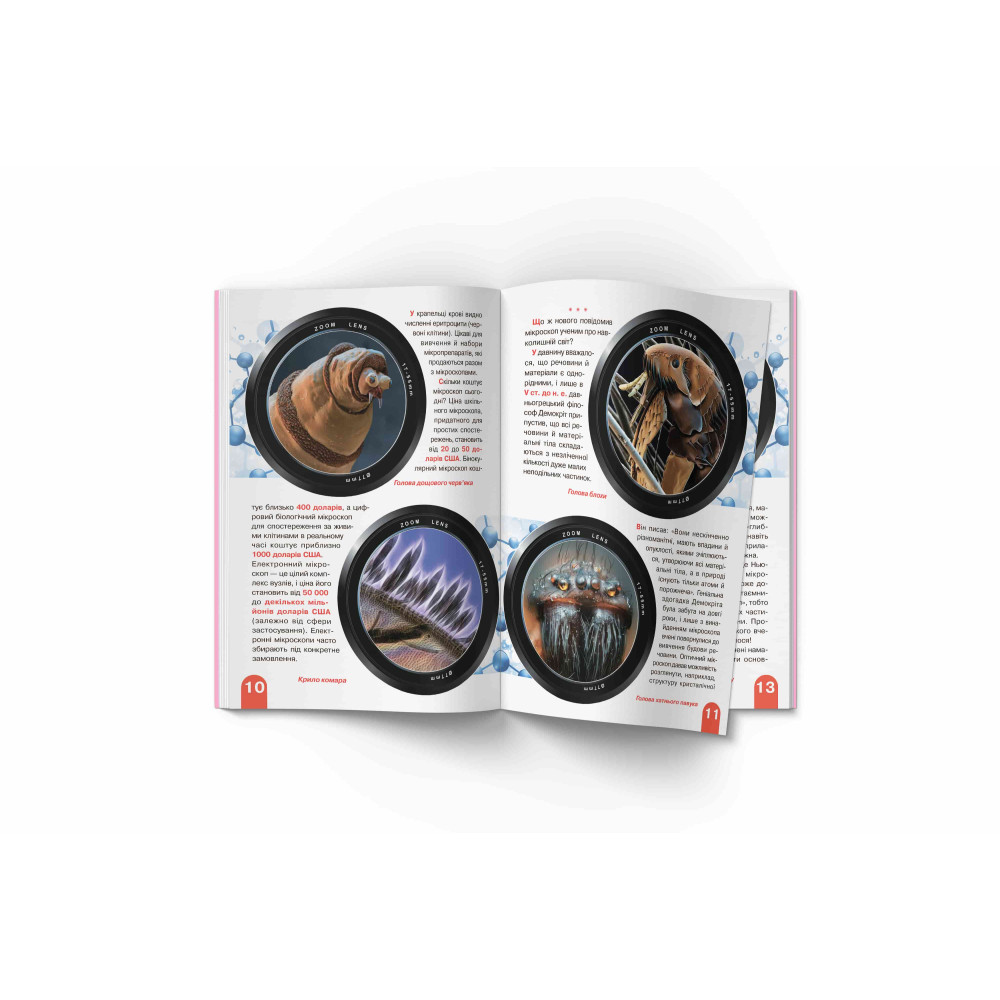Велика книжка. Мікросвіт