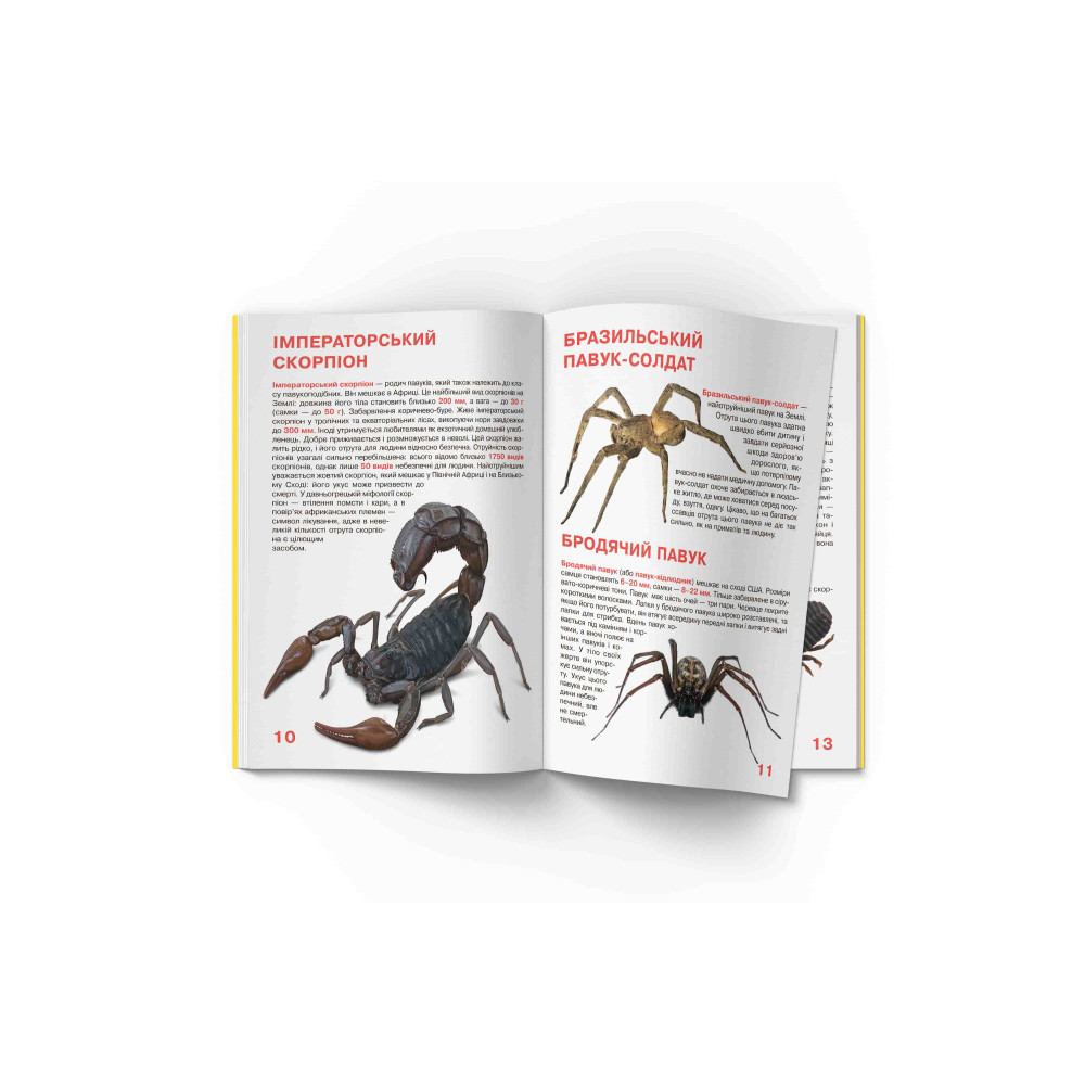Велика книжка. Павуки
