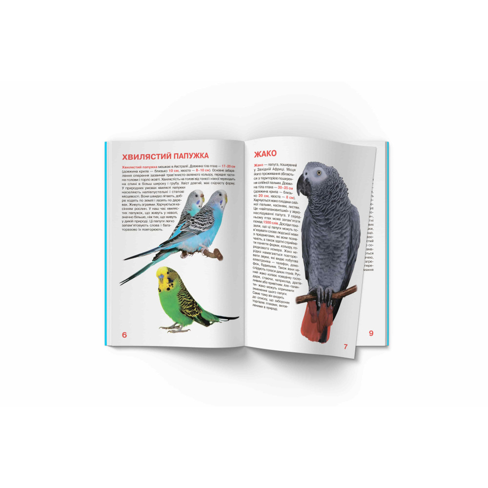 Велика книжка. Папуги