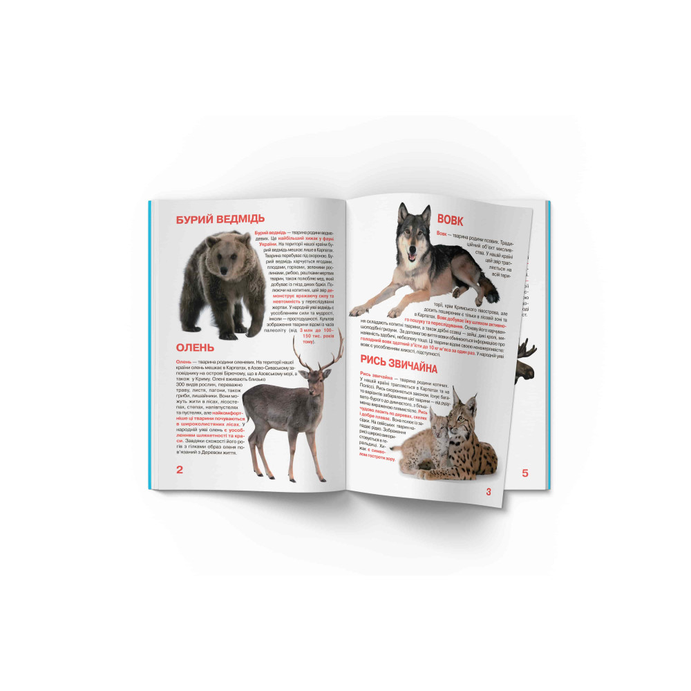 Велика книжка. Тваринний світ України