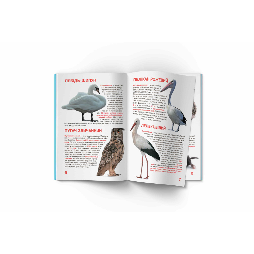 Велика книжка. Тваринний світ України