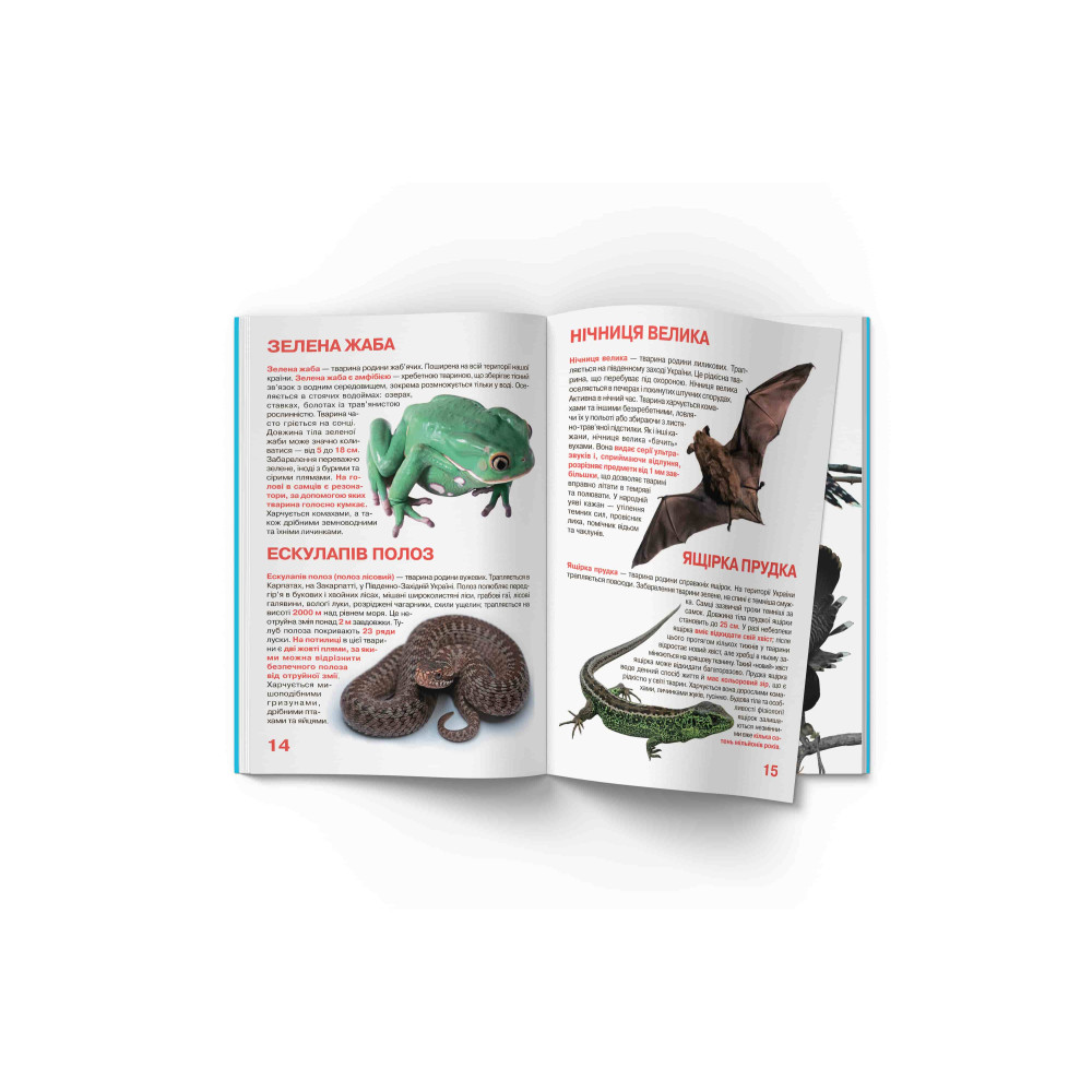 Велика книжка. Тваринний світ України