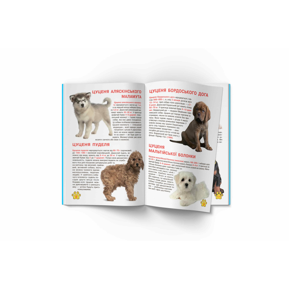 Велика книжка. Цуценята