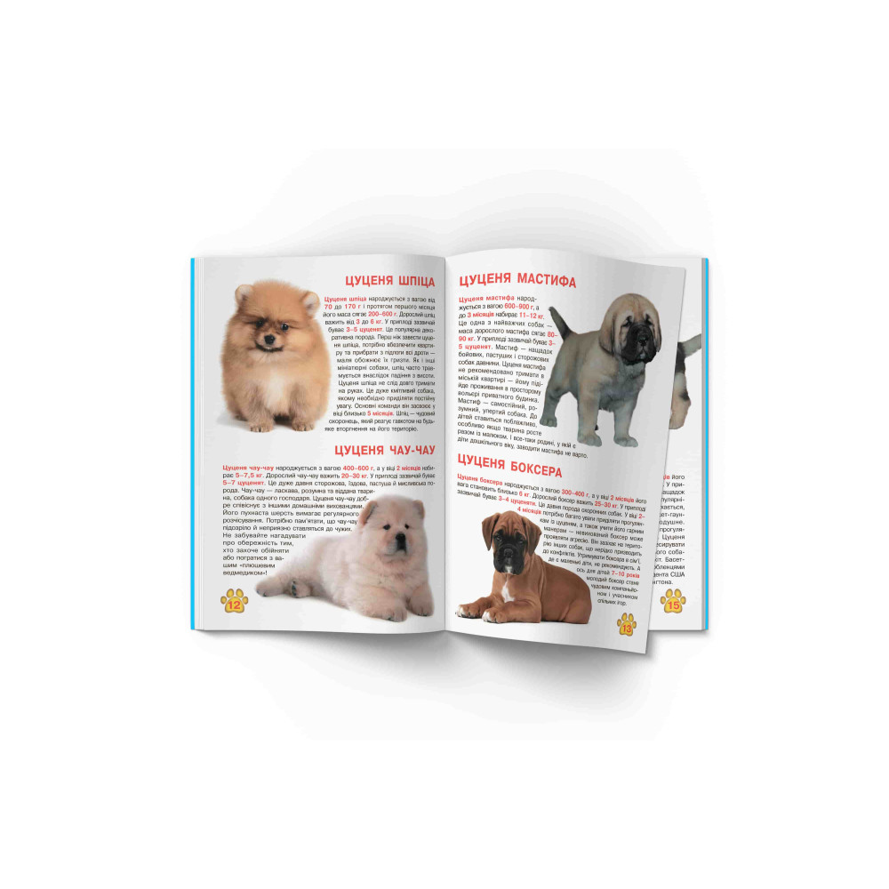 Велика книжка. Цуценята