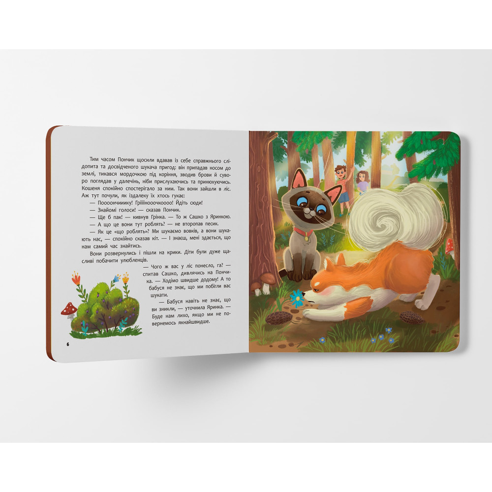 Хвостаті пригоди. Пончик та Грінка. Канікули за містом. Книга 2