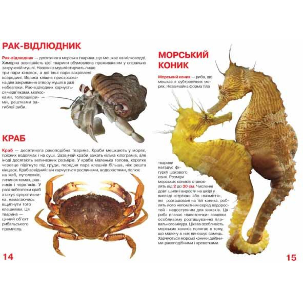 Велика книжка. Мешканці морів та океанів