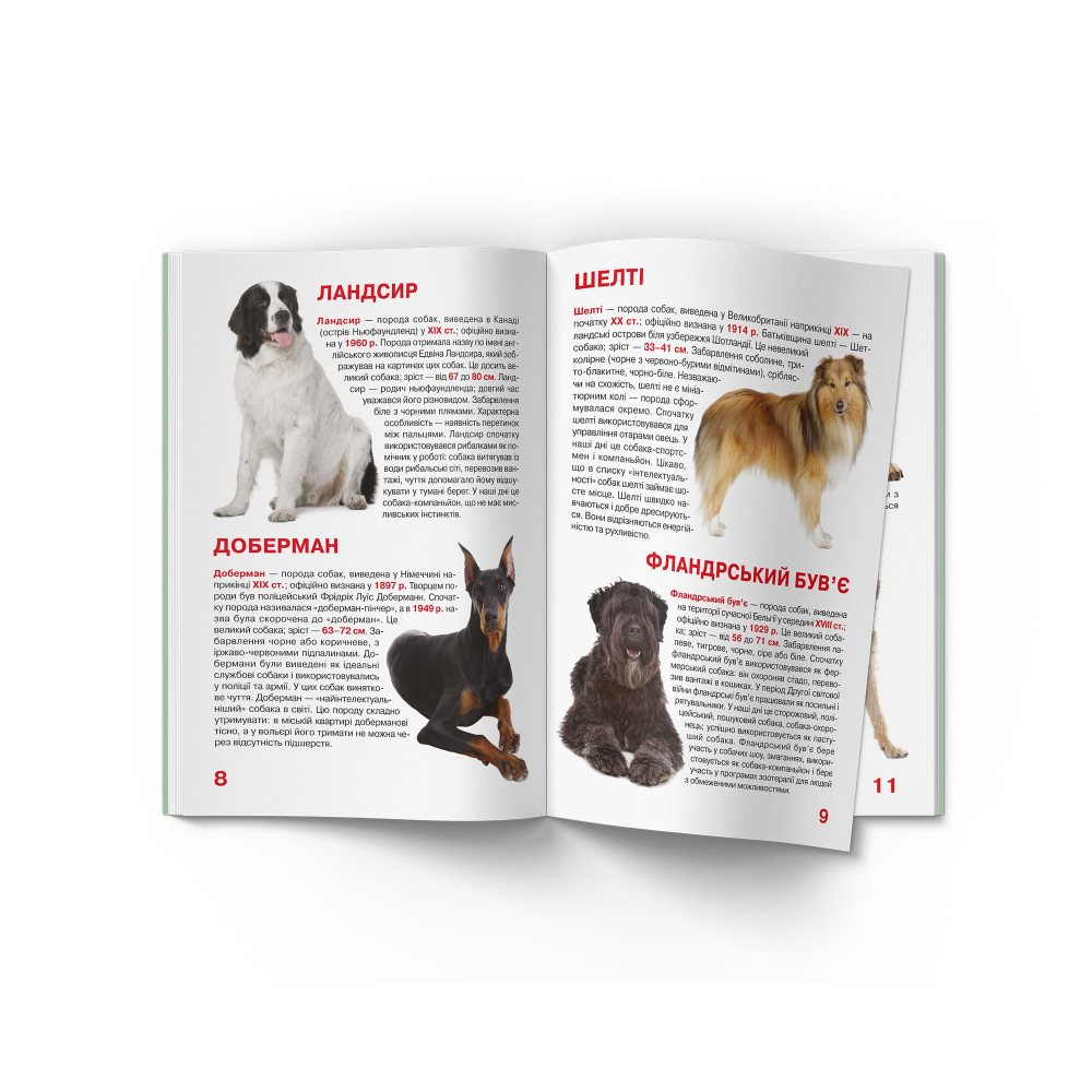 Велика книжка. Службові собаки