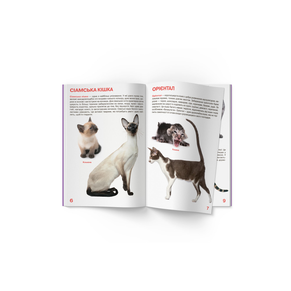 Велика книжка. Кішки
