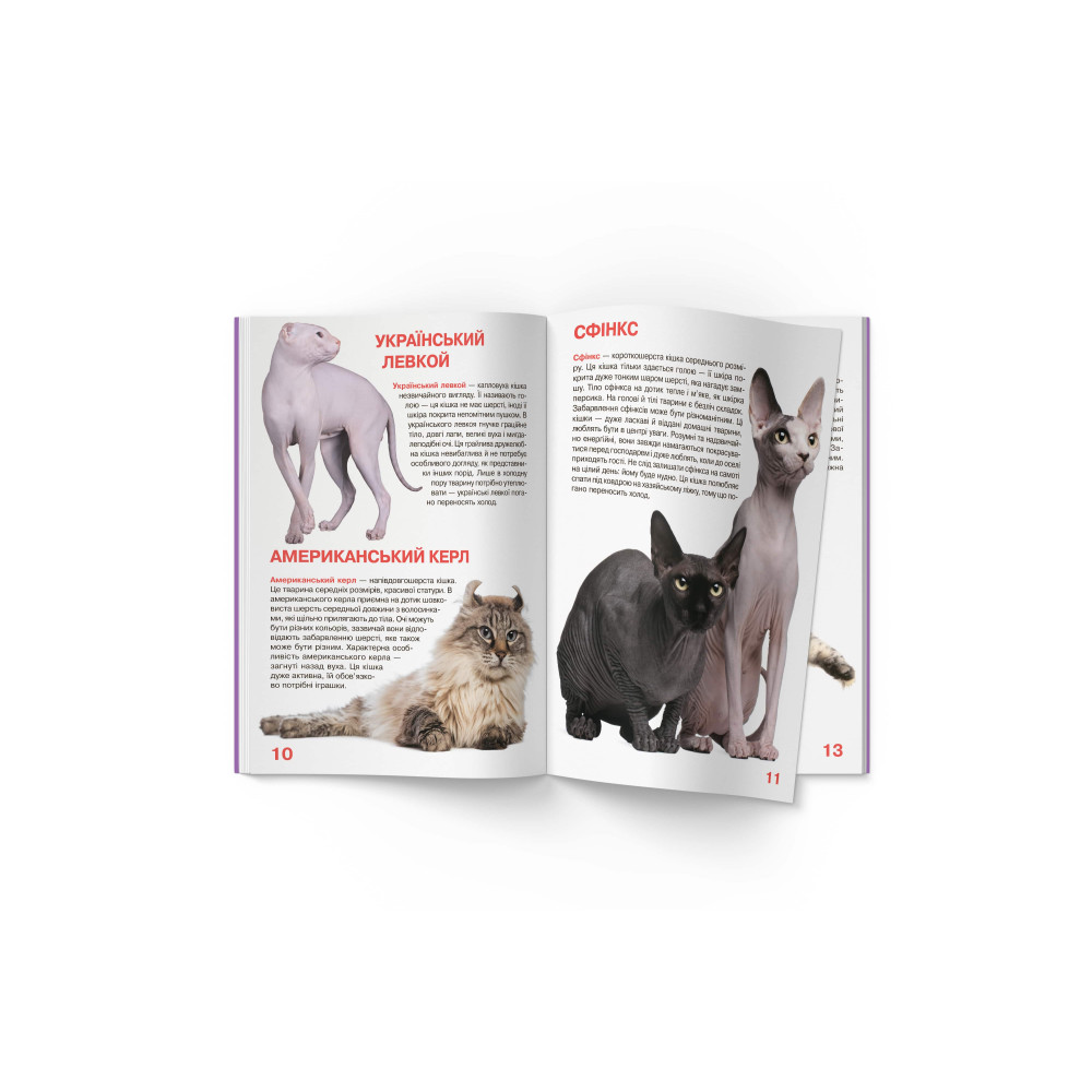 Велика книжка. Кішки