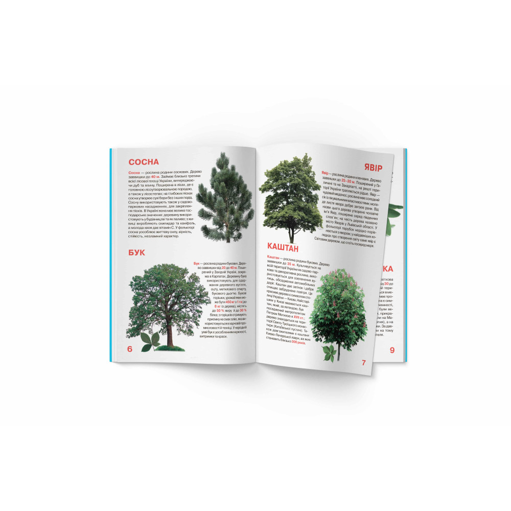 Велика книжка. Рослинний світ України