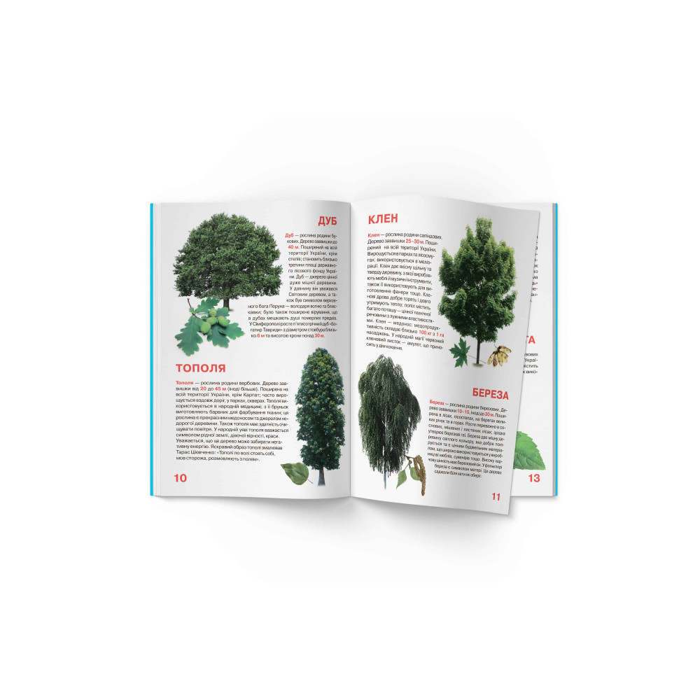Велика книжка. Рослинний світ України
