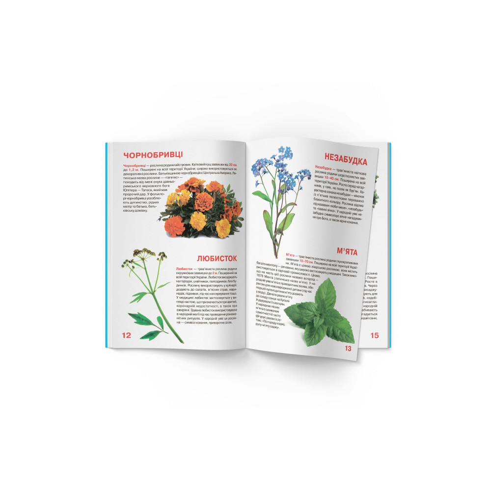 Велика книжка. Рослинний світ України